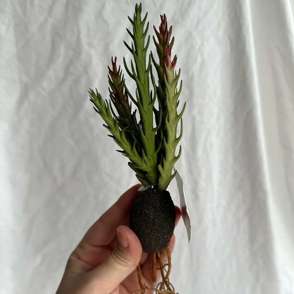 NWT Artificial Hanging Succulent - Small Faux Greenery for Home & Office Decor